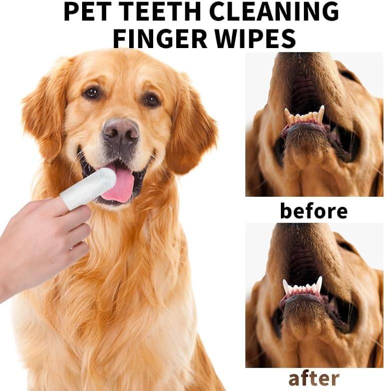 Pet Dental Wipes — Hassle-Free Oral Care for Cats & Dogs