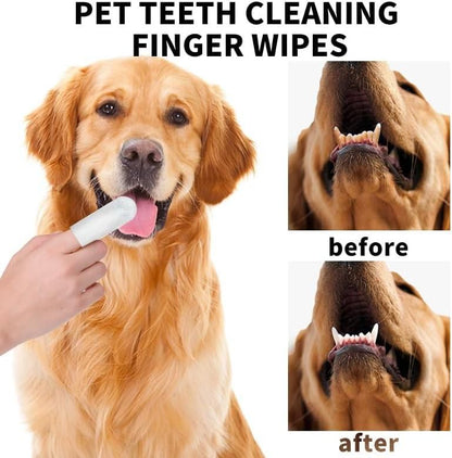 Pet Dental Wipes — Hassle-Free Oral Care for Cats & Dogs