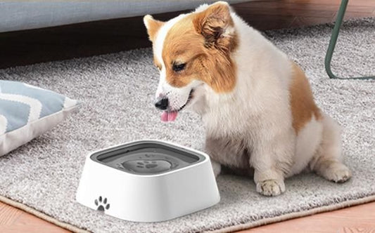 Floating Slow-Drink  Bowl for Dogs & Cats