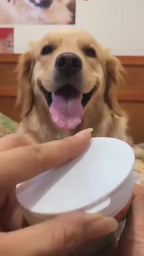 Pet Dental Wipes — Hassle-Free Oral Care for Cats & Dogs
