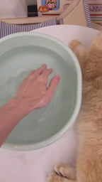 FurFix Steam Groomer